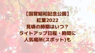 国営昭和記念公園の紅葉2022見頃の時期やライトアップ時間！人気場所も